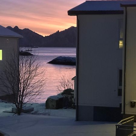 Koselig Hus Naert Havet I Lofoten, Kabelvåg Dış mekan fotoğraf