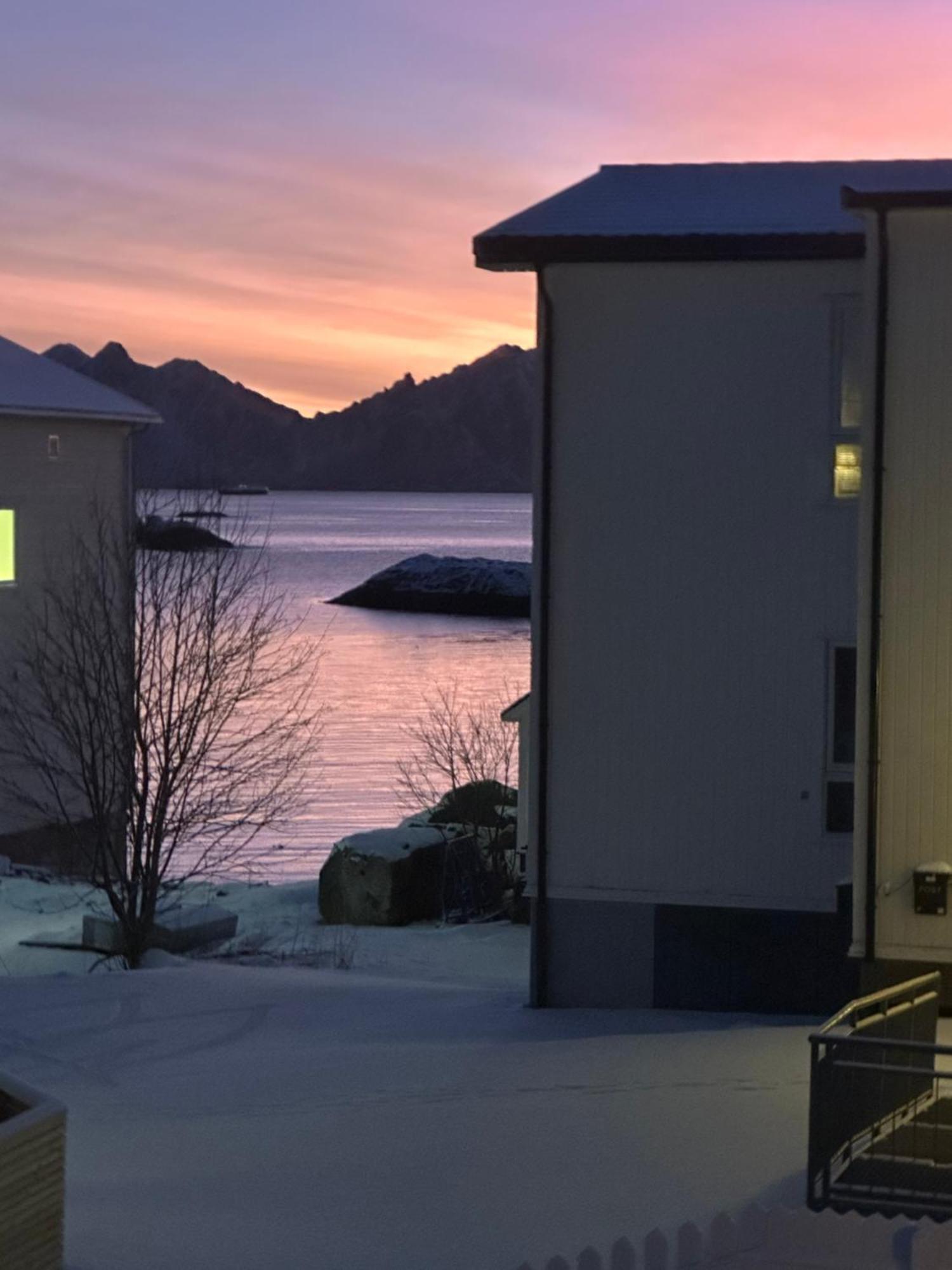 Koselig Hus Naert Havet I Lofoten, Kabelvåg Dış mekan fotoğraf